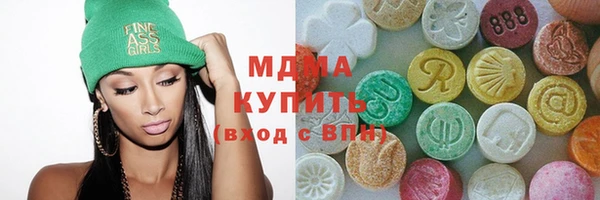 мдпв Каменка