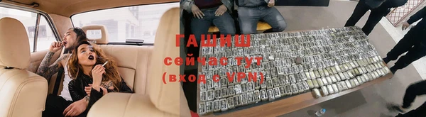 гидра Инсар