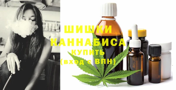 бошки Инта