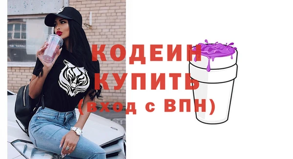 бошки Инта