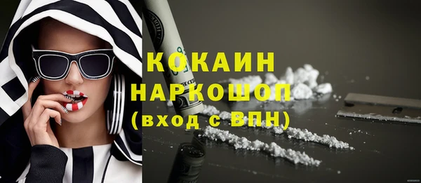 гидра Инсар