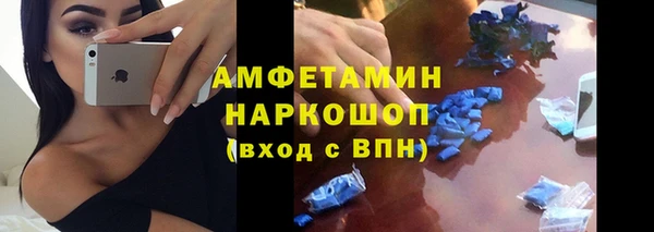 гидра Инсар