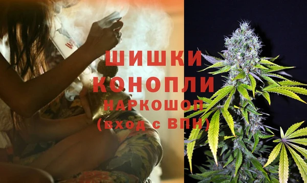 гидра Инсар