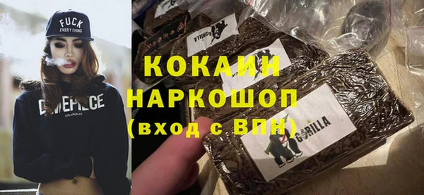мдпв Каменка