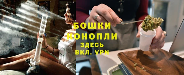 гидра Инсар