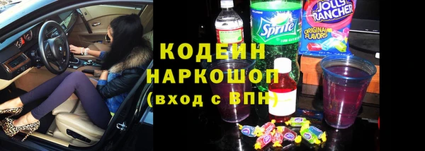 гидра Инсар