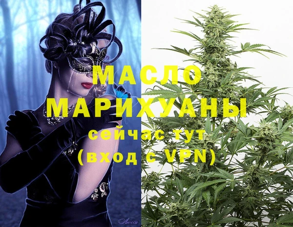 гидра Инсар