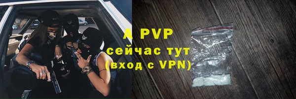 мдпв Каменка